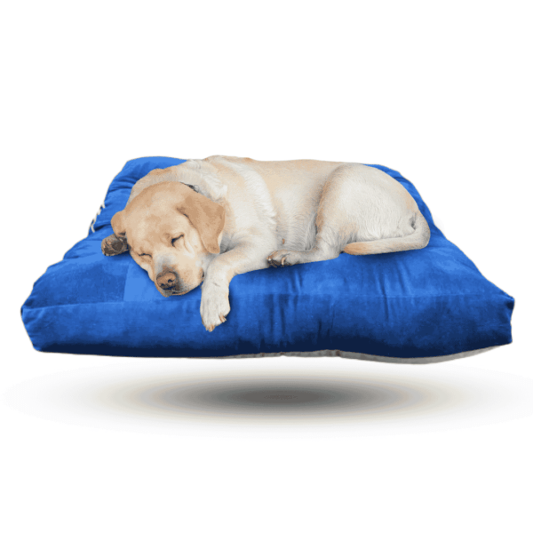 Super-Soft Fiber Dog Bed